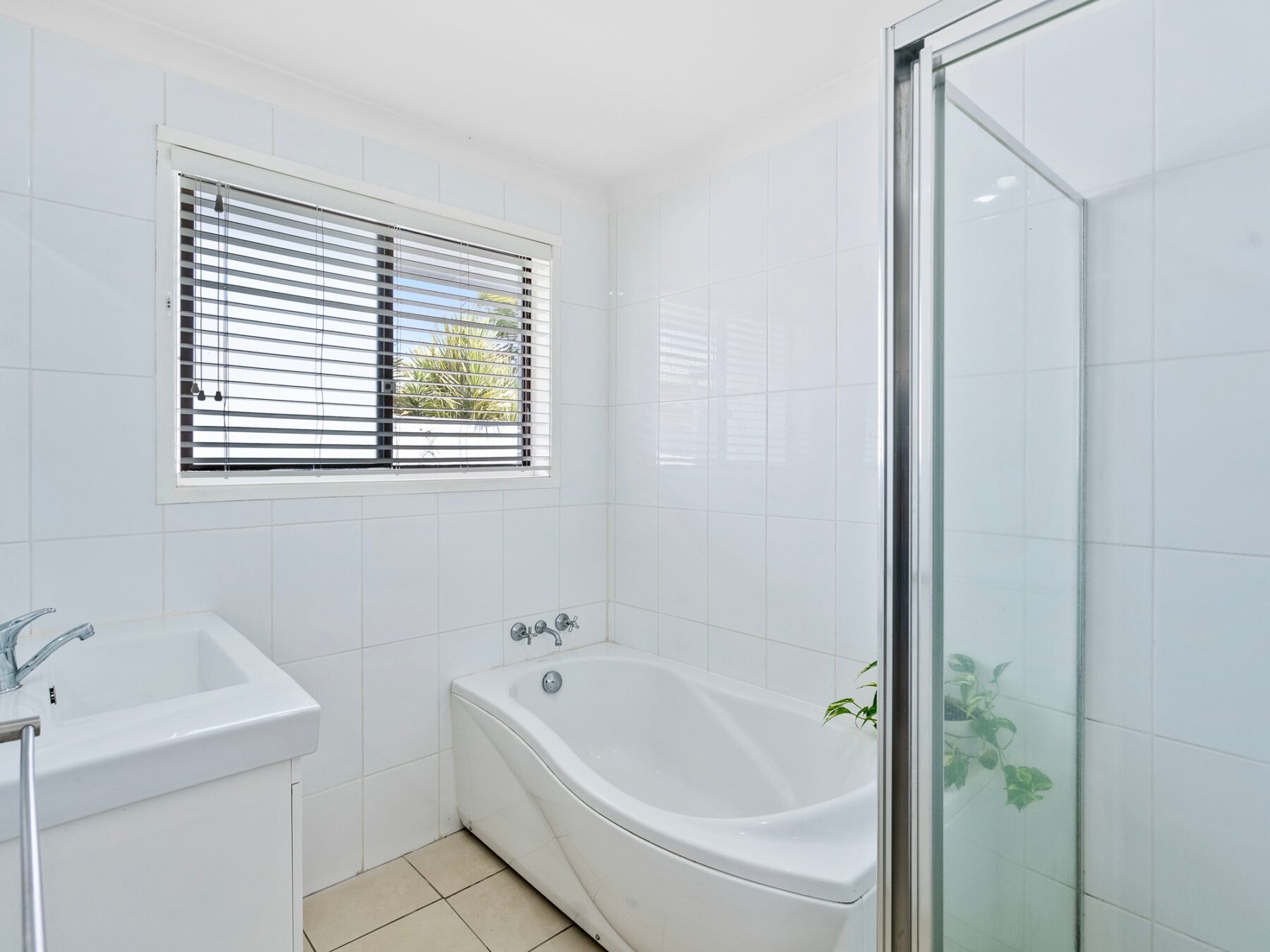 Property: 13 Satinwood Place, Palm Beach, QLD, 4221 photo-4