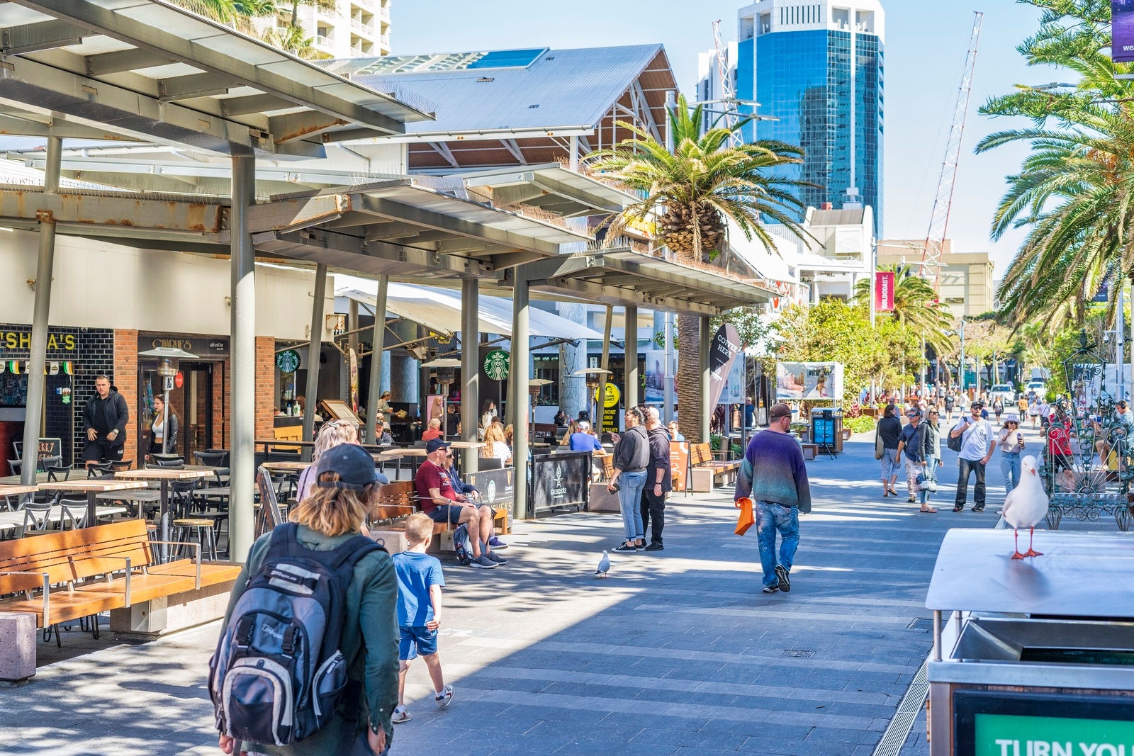 Property: 1/9 Monaco Street, Surfers Paradise, QLD, 4217 photo-17