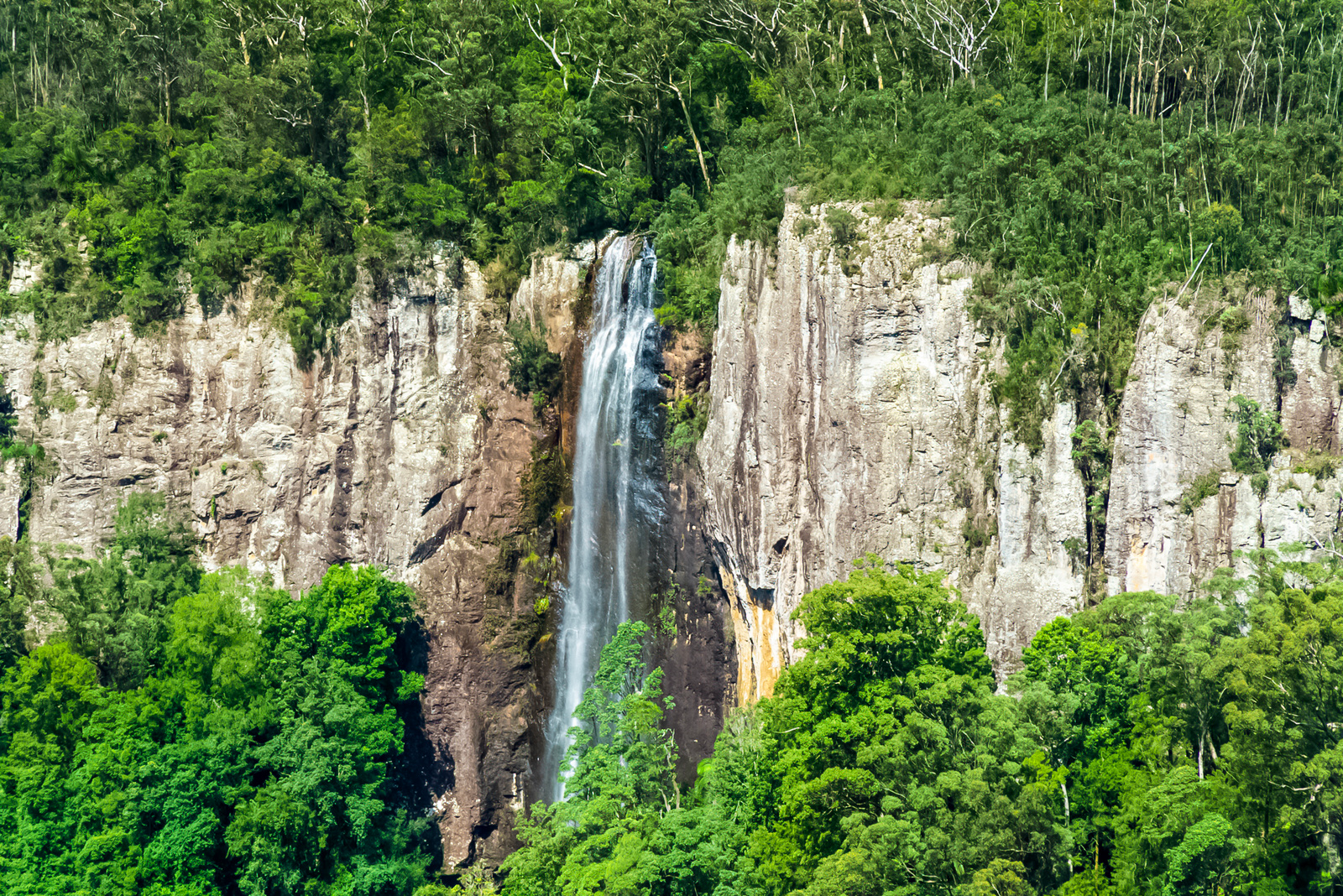 Property: 2 Lloyds Road, Springbrook, QLD, 4213 photo-1