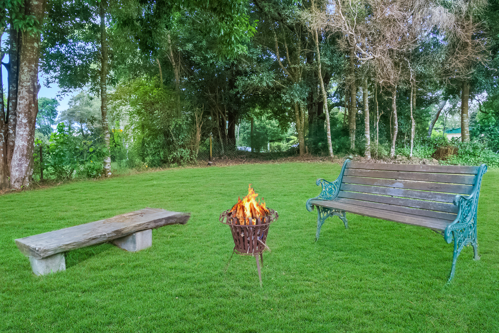 Property: 2 Lloyds Road, Springbrook, QLD, 4213 photo-4