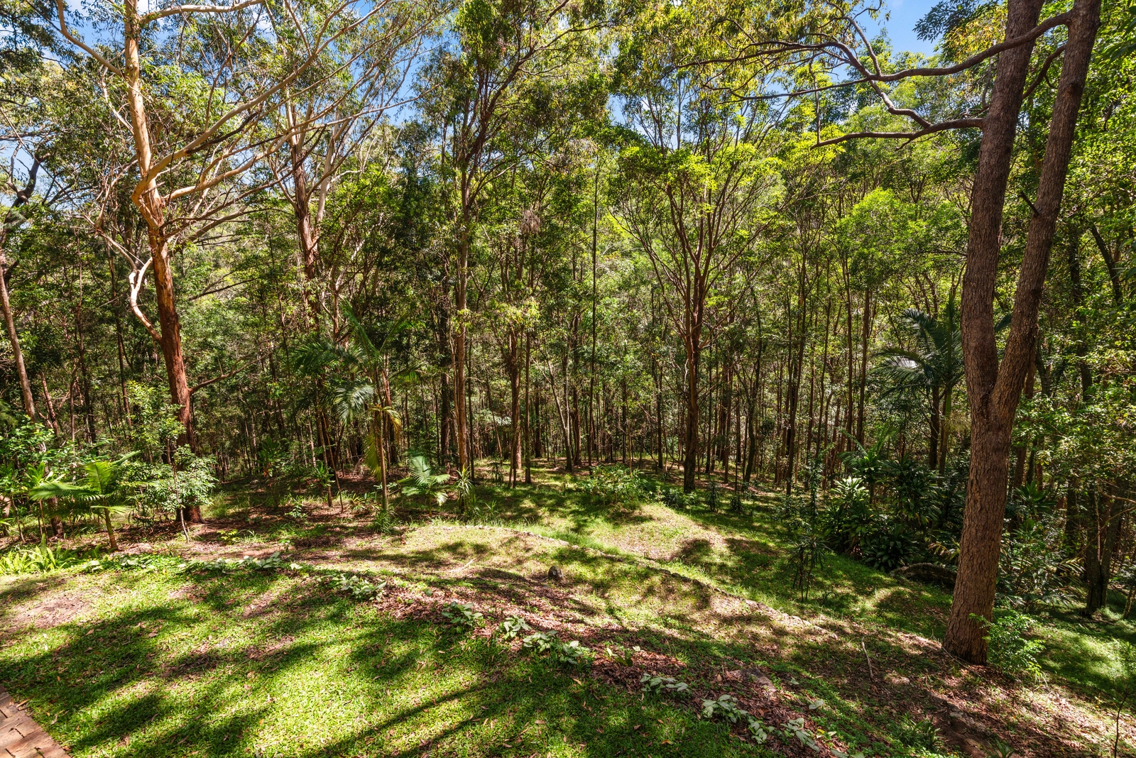Property: 13-15 Mavista Grove, ELANORA, QLD, 4221 photo-1