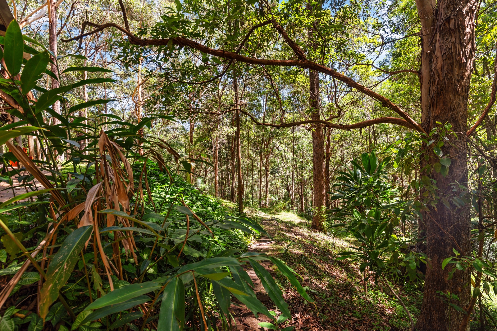 Property: 13-15 Mavista Grove, ELANORA, QLD, 4221 photo-15