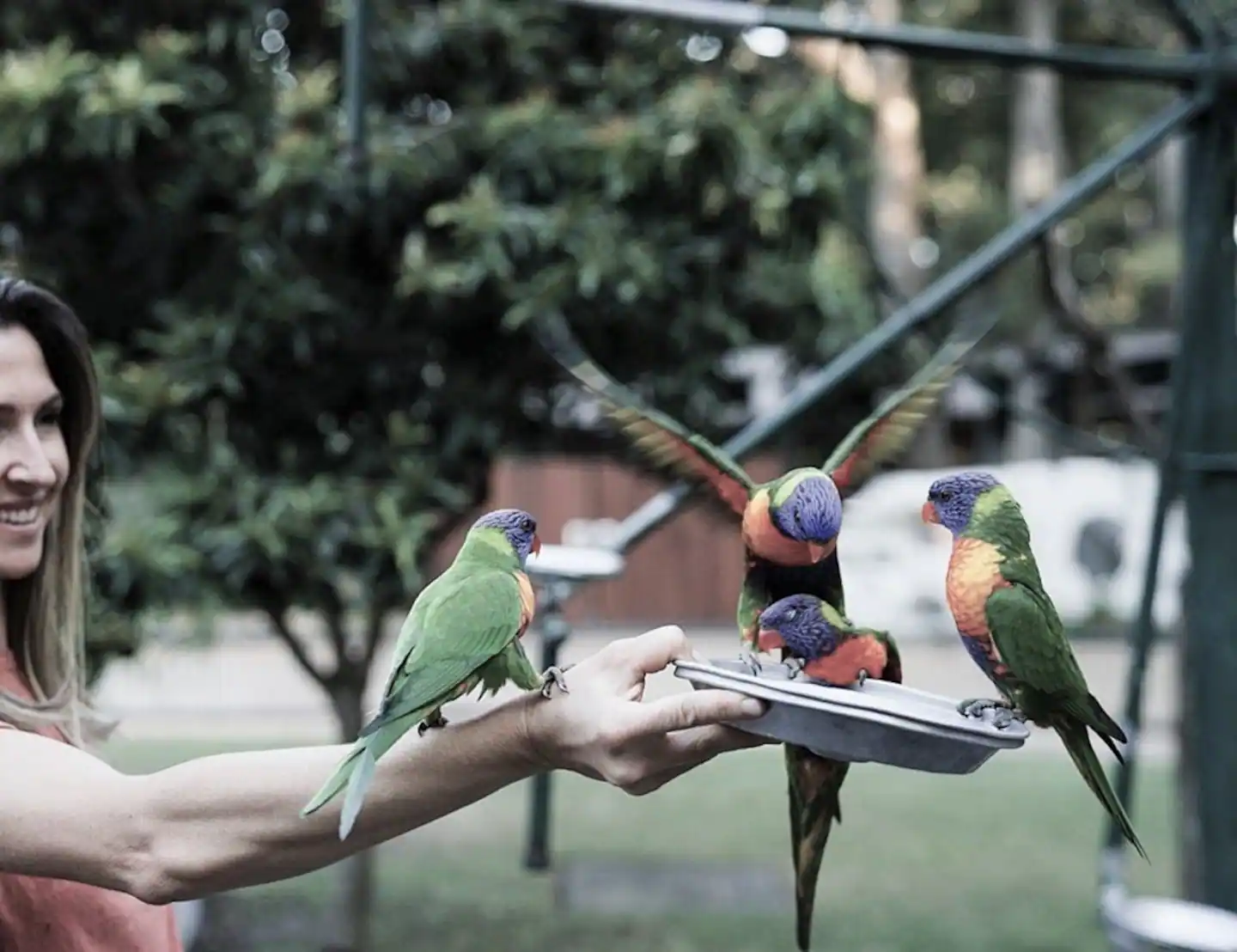 Rental: 60 Bienvenue Drive, Currumbin Waters, QLD, 4223 photo-25