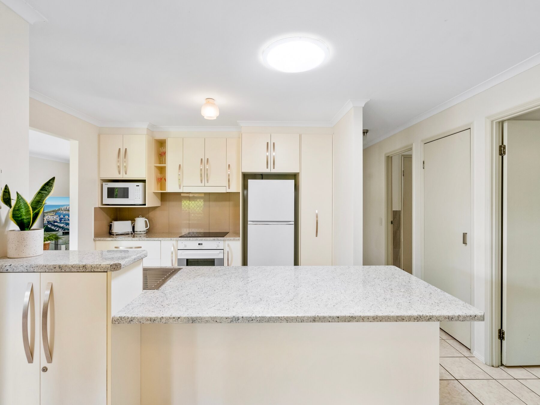 Property: 3 Kalmia Court, Elanora, QLD, 4221 photo-19