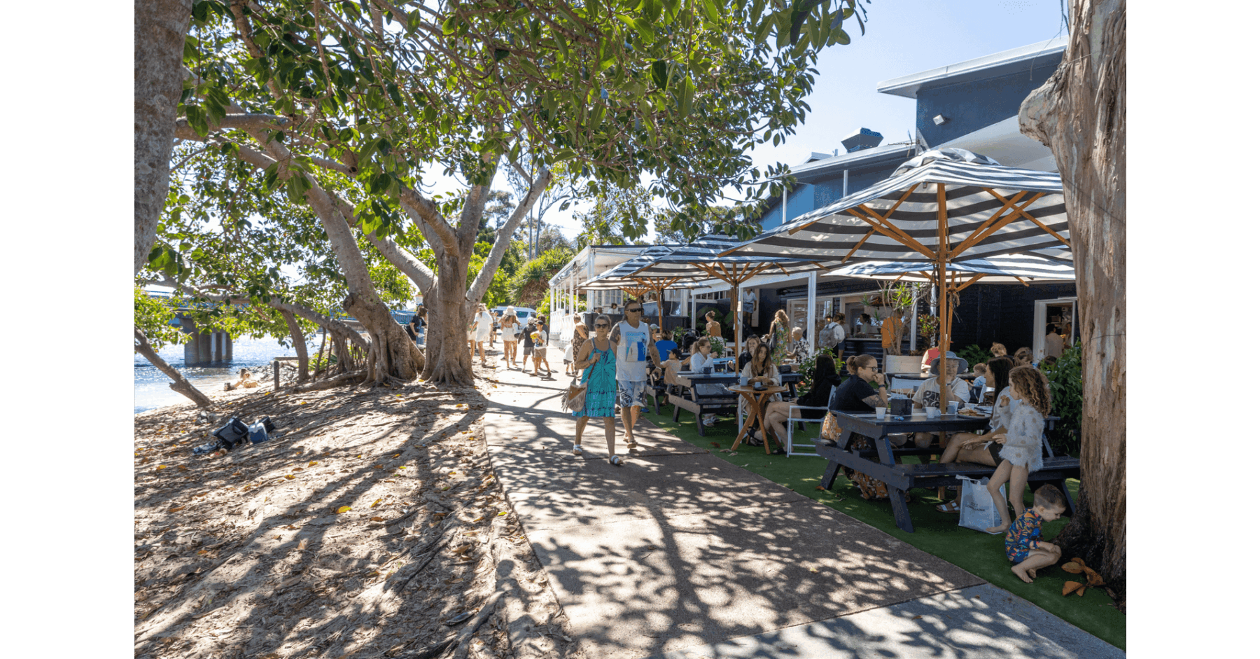 Rental: 10 Gilchrist Drive, Currumbin Waters, QLD, 4223 photo-8