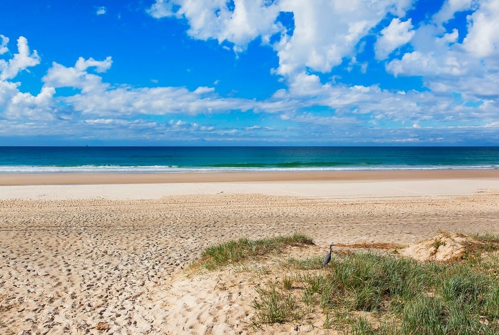 Rental: 3/2008-2010 Gold Coast Highway, Miami, QLD, 4220 photo-4