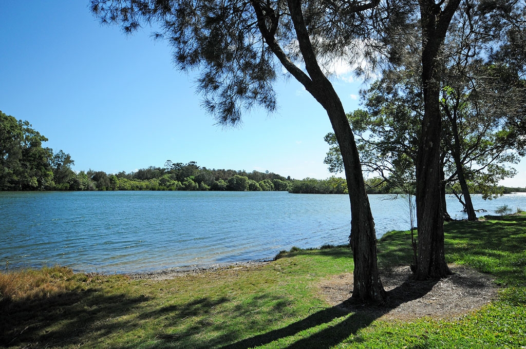 Rental: 36A Plover Place, Tweed Heads West, NSW, 2485 photo-5