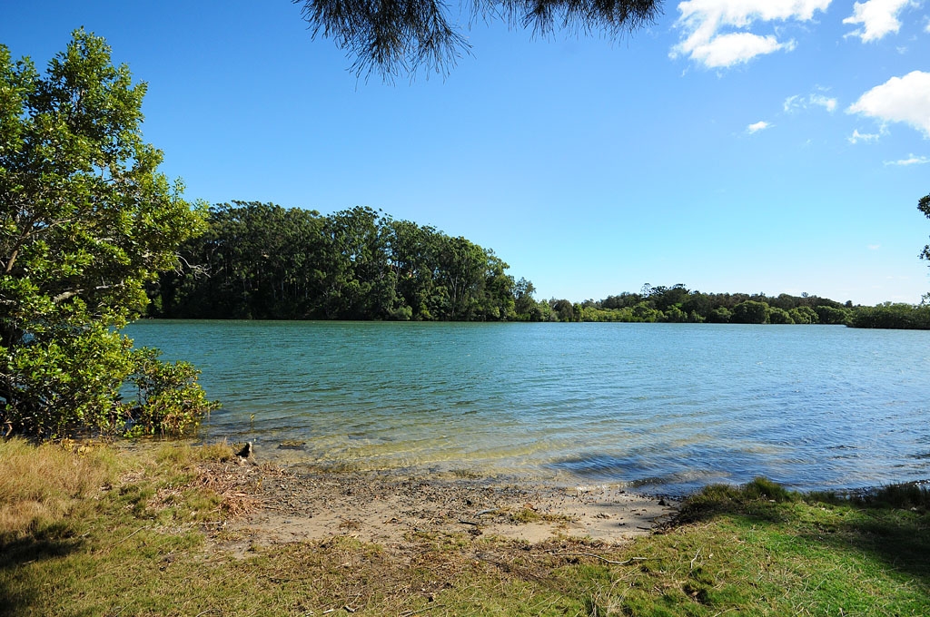 Rental: 36A Plover Place, Tweed Heads West, NSW, 2485 photo-4