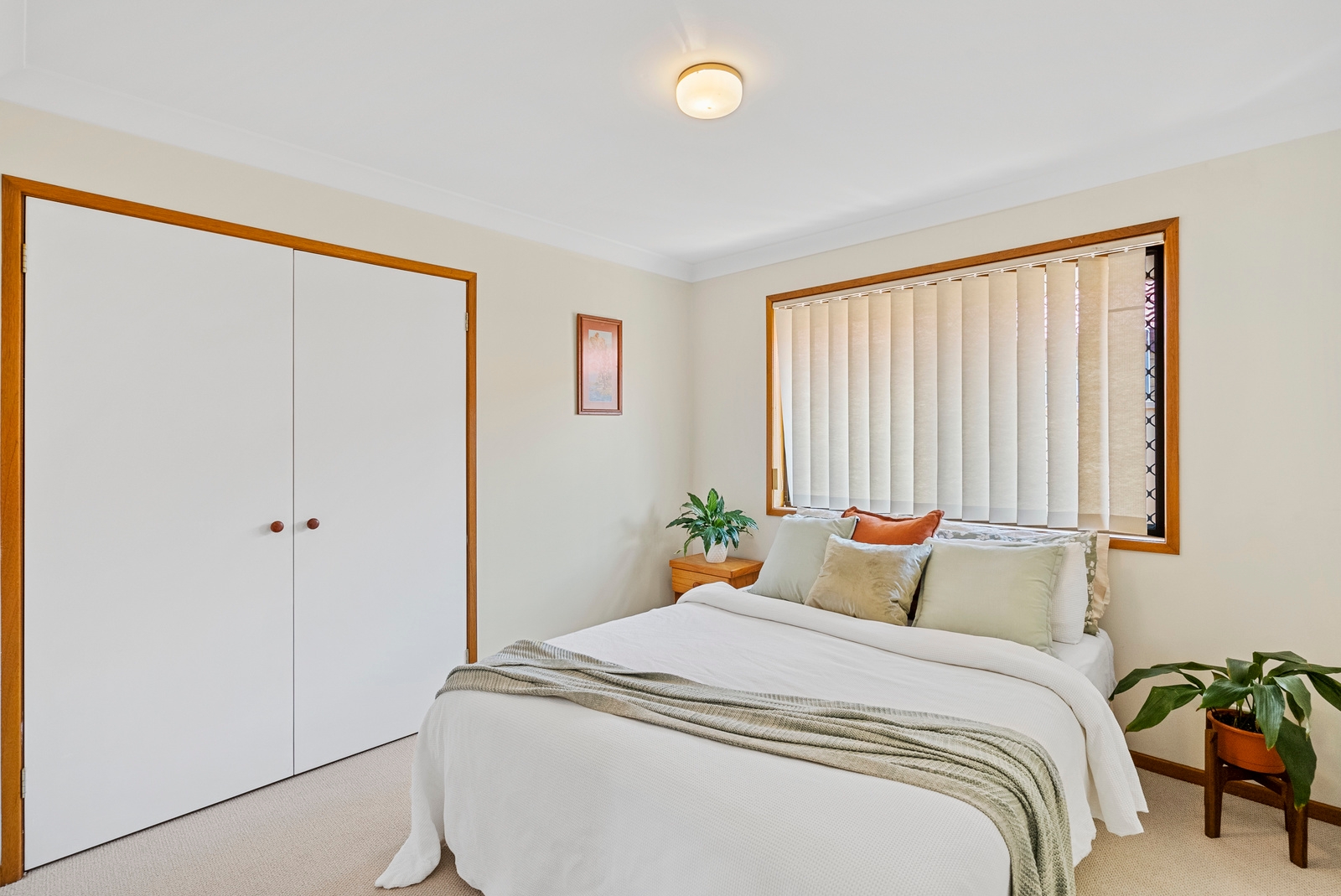 Property: 19 Angelica Street, Elanora, QLD, 4221 photo-4