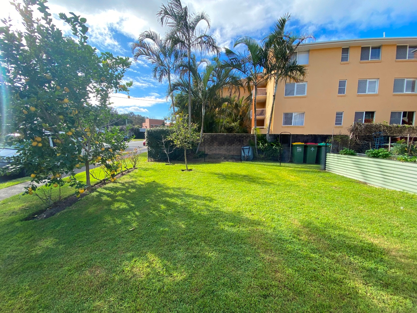 Rental: 1/16 Farrell Drive, Tugun, QLD, 4224 photo-5