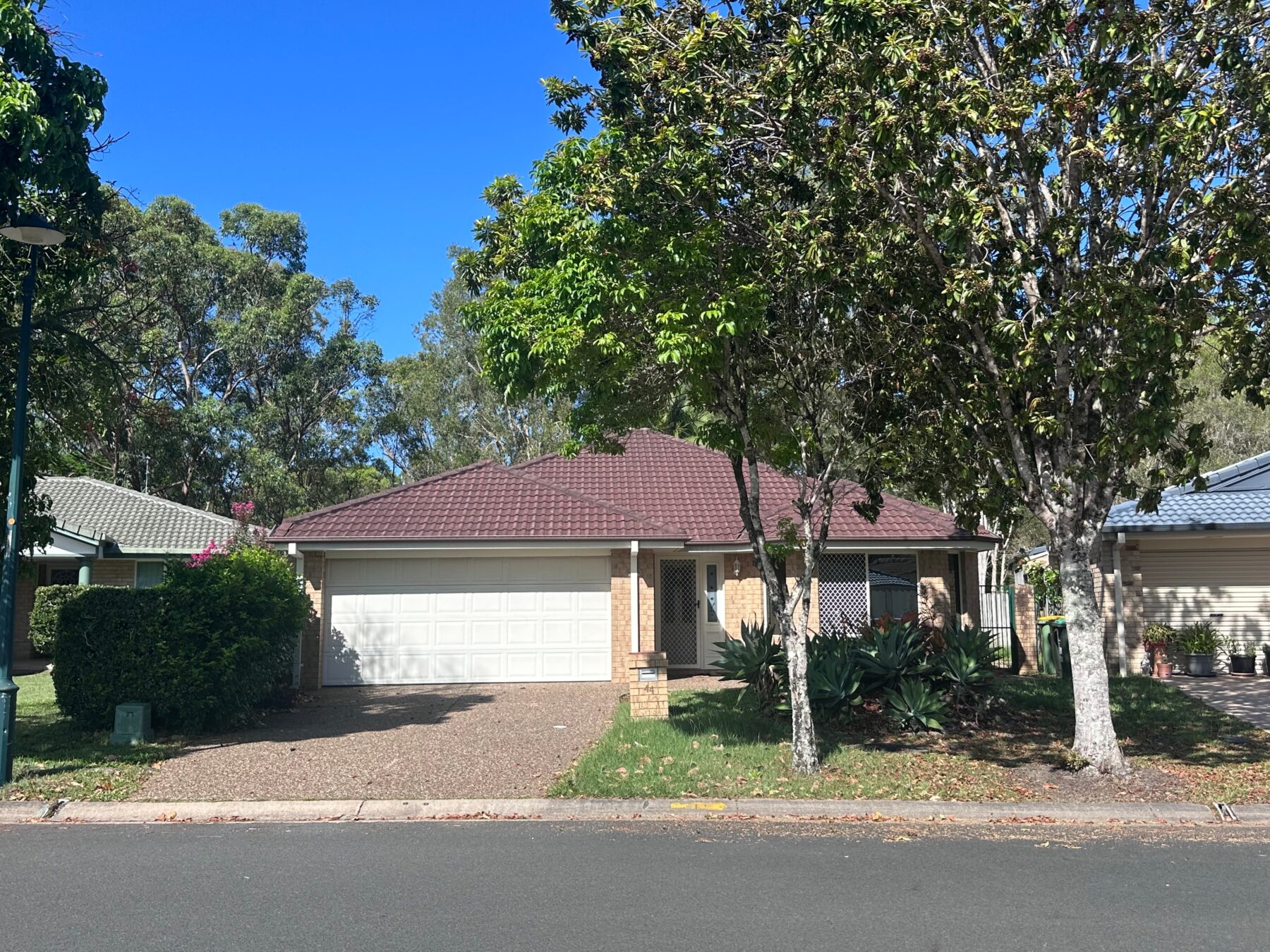 Rental: 44 Silver Glade Drive, Elanora, QLD, 4221 photo-2