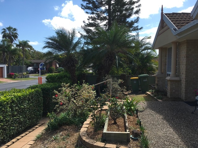 Rental: 1/41J Murtha Drive, Elanora, QLD, 4221 photo-3