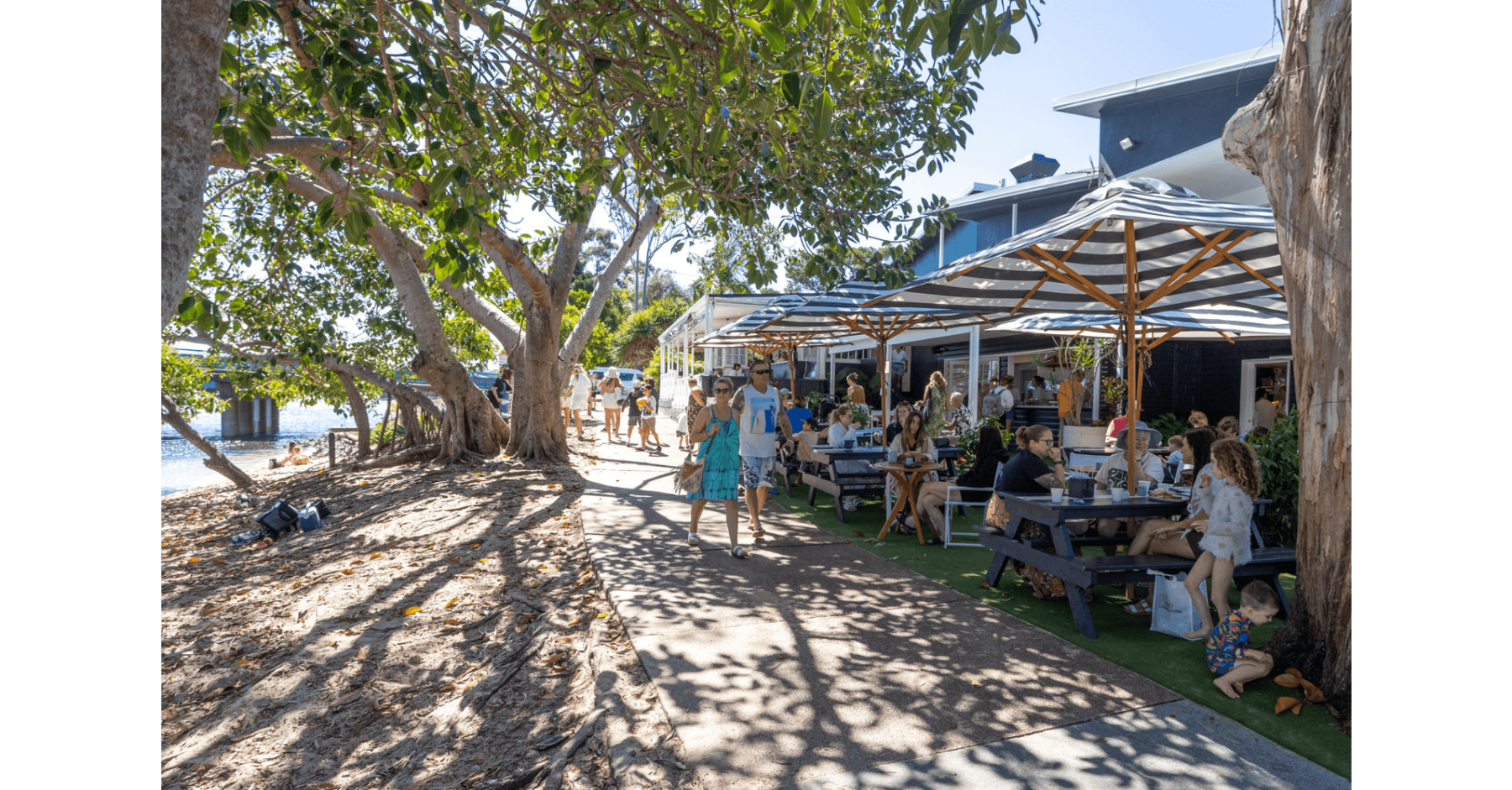 Rental: 1 Philip Street, Currumbin, QLD, 4223 photo-7